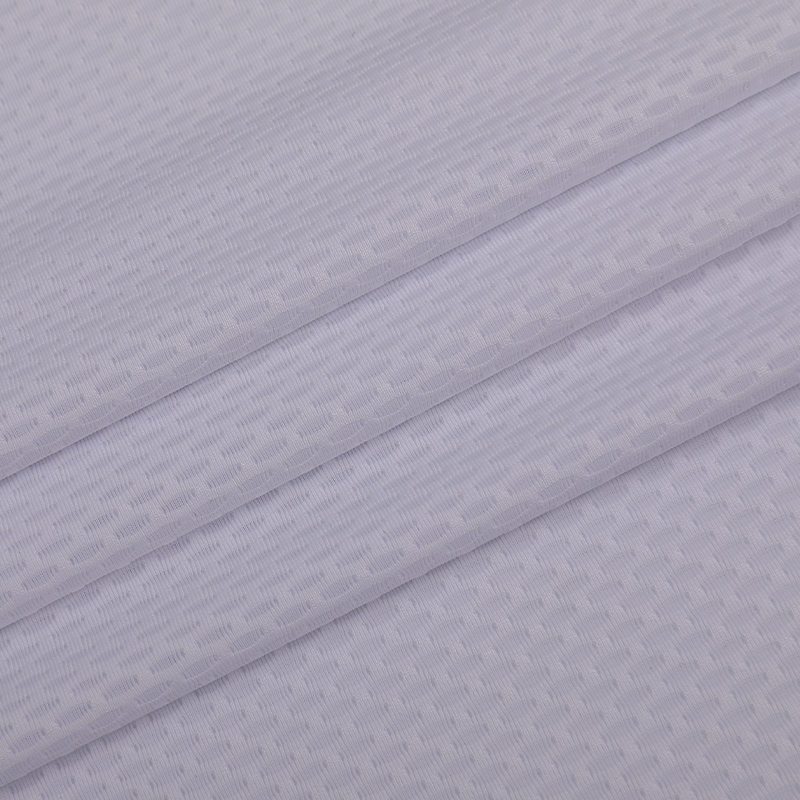 75D/DTY + 20D/Spandex Mesh Fabric 75D/DTY + 20D/Spandex Mesh Fabric